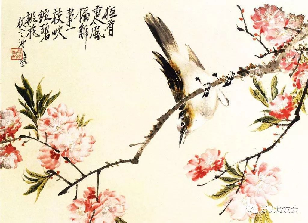 第十三辑 玛雅视讯平台