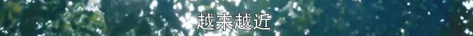 看刘奕君谈恋爱，我才真上头