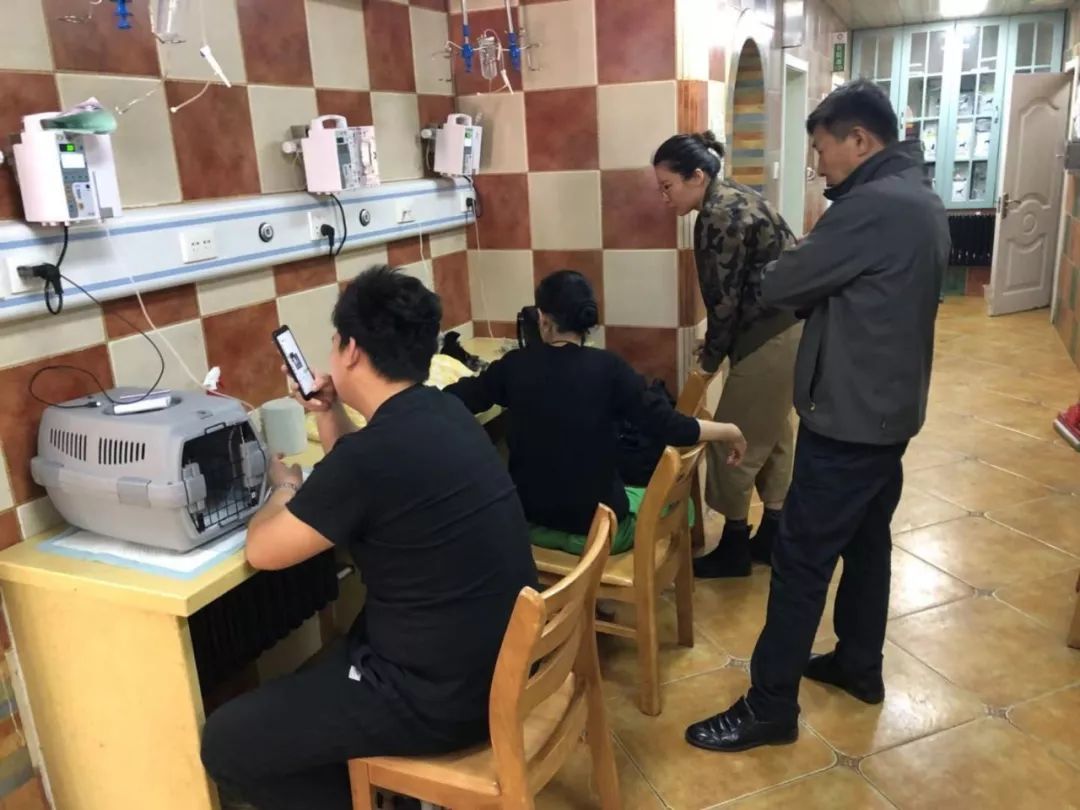 宠 物 医 院 人 间 观 察