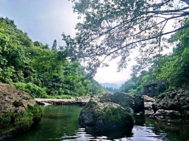 金杯半山:用康养文旅产业拥抱绿水青山