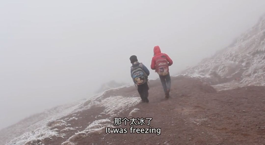 这部纪录片又把人看哭了