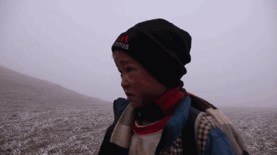 这部纪录片又把人看哭了