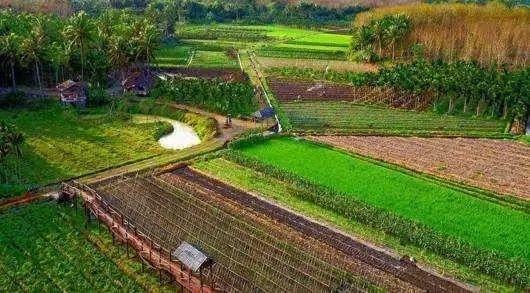 一、农村养老保险缴费标准