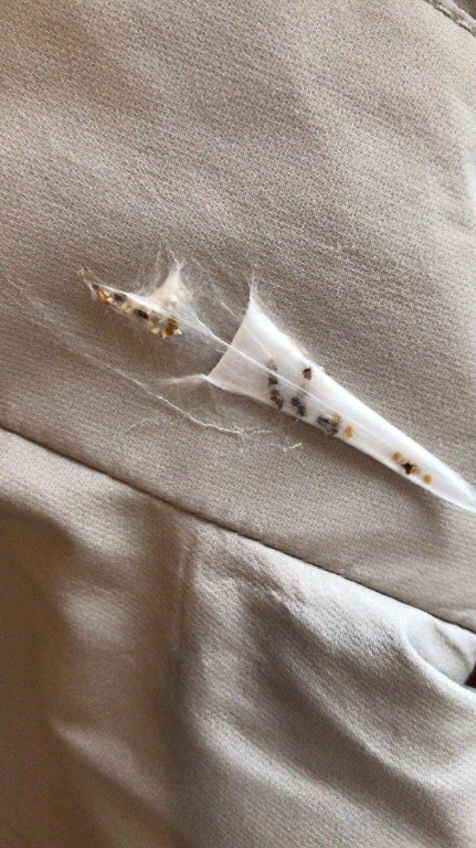 每日神段子丨积极废人，这个词简直为我而创造！