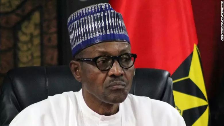 尼日利亚总统回应“被克隆人取代”：我还硬朗着呢