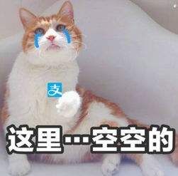 27岁年入1.5亿入选福布斯的网红，每天给自己换鼻子是什么操作？
