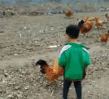 熊孩子你做了,我小时候想做又不敢做的事情