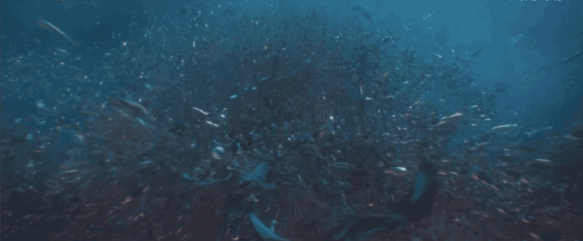 DC翻身作《海王》，其实是一部环保教育宣传片