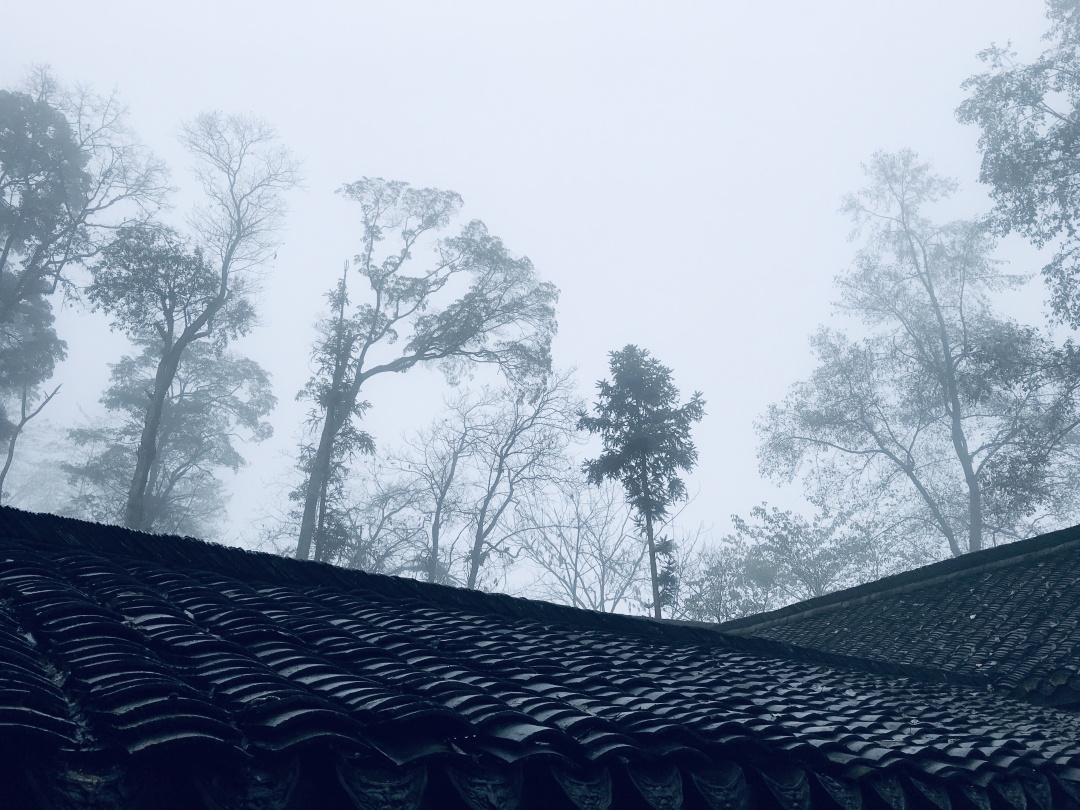乱逛 如果下雪，我就想跑进青城山的迷雾