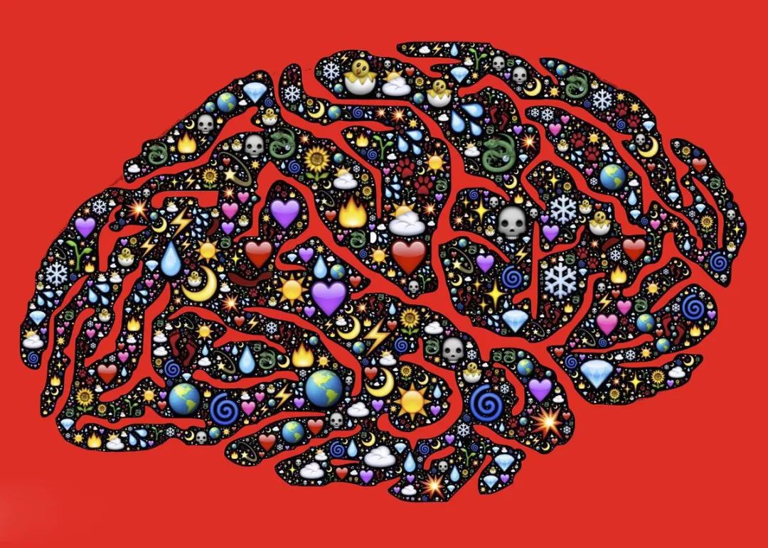 是什么因素影响了动物的大脑的伶俐水平呢？（人脑的大小与智商有无联系关系?）