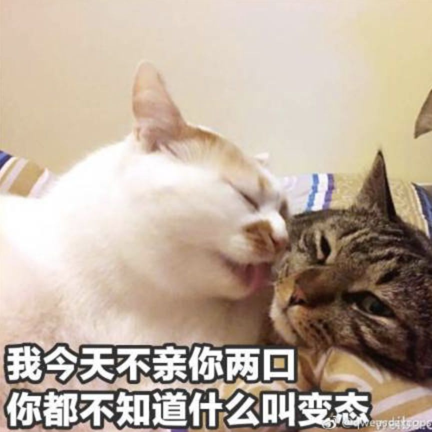 对待霸权都理性克制的韩雪，因为变态男当众发飙爆粗了！
