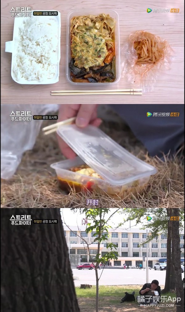 看完这部综艺向东北菜道歉