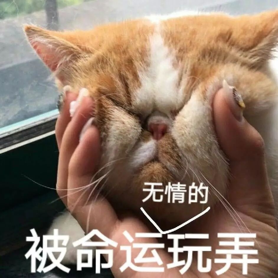 斗图表情包:开黑吗?我电竞少女