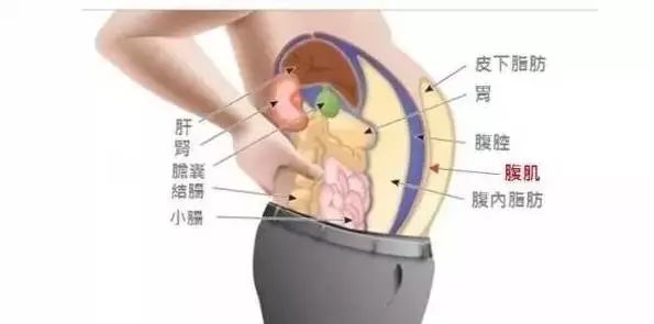 继程潇、孟美岐之后，杨超越也肥成了张惠妹，创造101有毒吗？