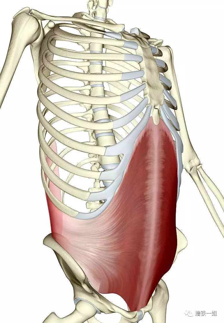 继程潇、孟美岐之后，杨超越也肥成了张惠妹，创造101有毒吗？
