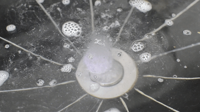 脚凉寒气生，做好足部保养，过好整个冬天 | 大咖荐品