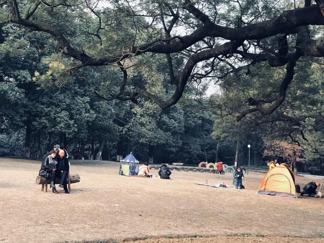 这一年,我用300万步串起了这些街巷,菜市,场镇,博物馆