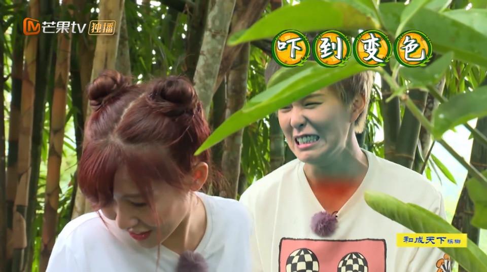 火箭少女跟着野生家族丛林开野,直呼还是它最好吃