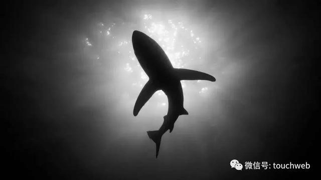 御家汇放弃收购阿芙母公司 曾欲2019年全面接管日常运营