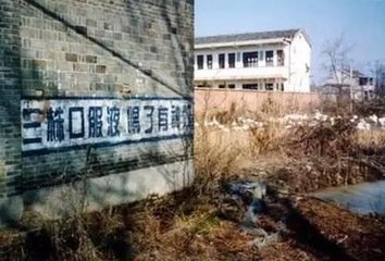 文章配图