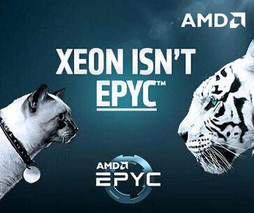 老对手AMD搅局，2018年芯片厂商“阴盛阳衰”