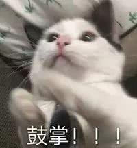 年度奇迹？关晓彤已经白到跟宋祖儿不分上下了