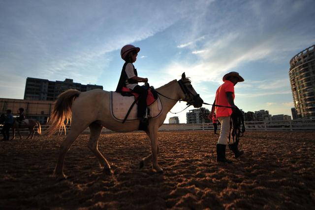 海南赛马的“回马枪”:政策一年两次摇摆,赛马第一股避嫌改名