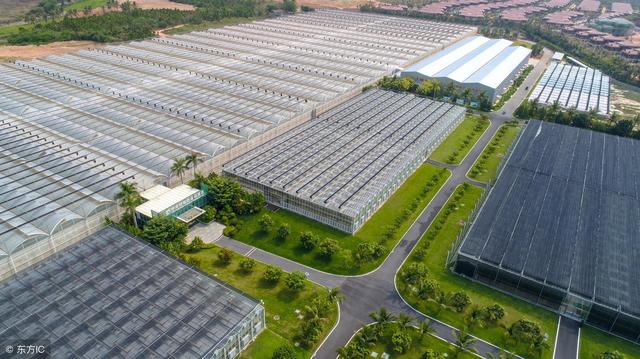 设施农业种植为什么要发展规模化?规模化优点有哪些?如何普及