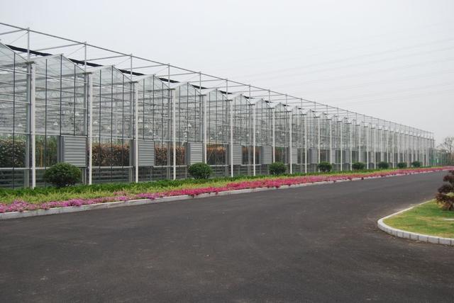 设施农业种植为什么要发展规模化?规模化优点有哪些?如何普及