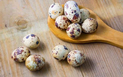 益母草的功效与吃法 益母草功效与作用 益母草该怎么吃比较好