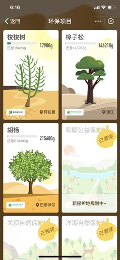 云种树开花结果！蚂蚁森林用户可领全民义务植树证书