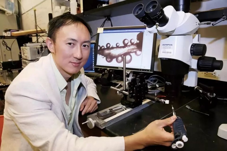 靠搞笑登上《nature》封面，他戴着马桶圈领“诺奖”