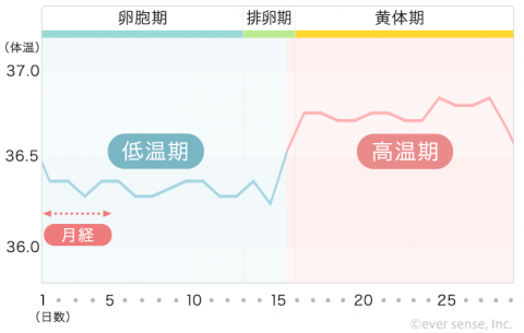 基本体温表