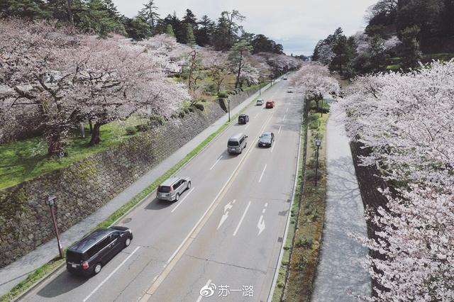 夏日全民旅行记:日本动漫朝圣之旅——跟着柯南游金泽