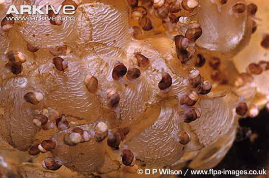 ebf8521dd94a4181bdc44ebd0eb66e53.jpg ebf8521dd94a4181bdc44ebd0eb66e53.jpg