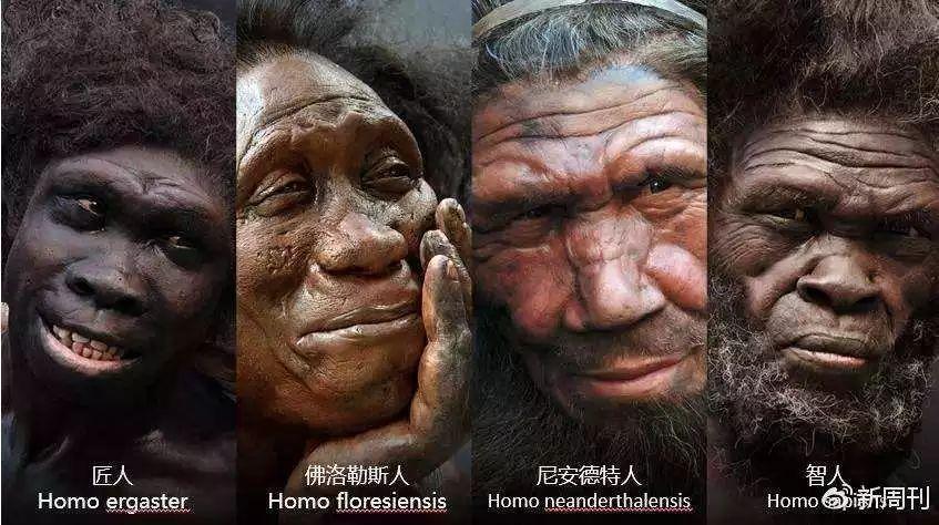 秀智的脸胖成150斤，但这90斤的脚脖子也太秀了吧