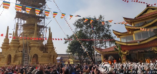 人口金塔图_金塔胡杨林图片