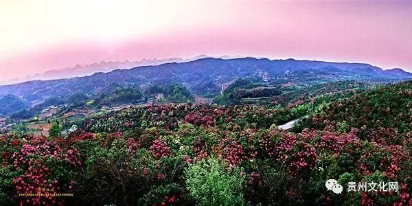 旅游指南贵州旅游不能不去的十大景点