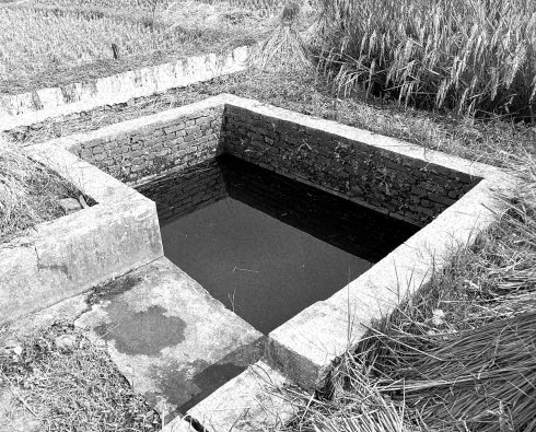 罗定市上宁村格木桥村梁氏始祖及发源地