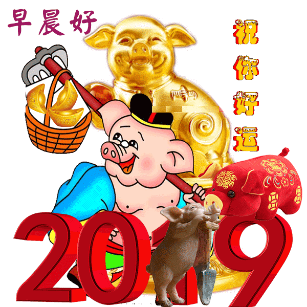 2019最新早上好图片动态表情包，2019最美早晨好动态表情图片