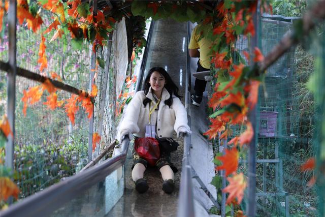 春节为什么要去深圳弘法寺添堵,这个地方更好