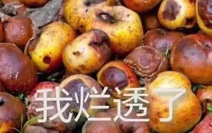 春节行李打包技能 | 这个10块钱的神器碾压了我整个行李箱！