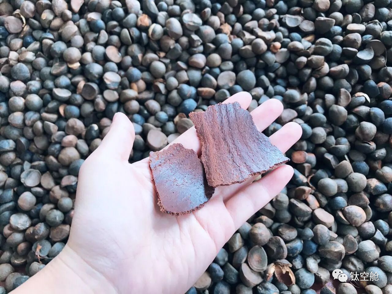 秃顶90后自救指南，一秒起泡，预防干枯分叉，春节不打烊｜大咖荐品