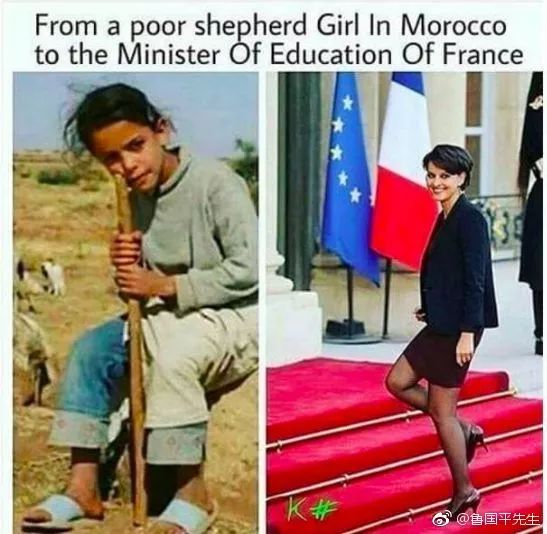 10000人集体给豆瓣打0分：不要再给我们喂屎了！