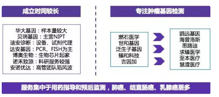立足于肿瘤早筛早检产品研发，「燃石医学」获8.5亿元C轮融资