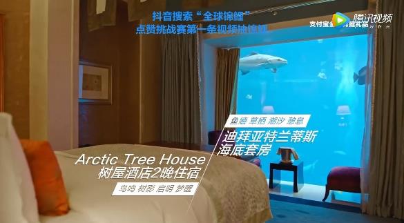 支付宝全球锦鲤公布 网友：败给了一只鼠标