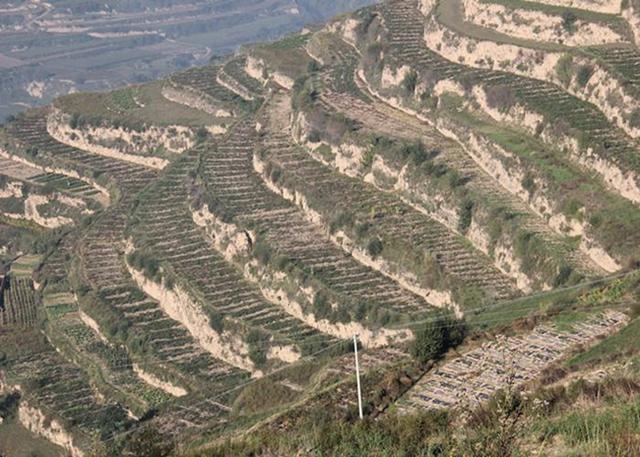 果树建园 旱作山地果树种植技术