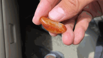 红皮和田玉的极致——籽料里的玛丽艳红!