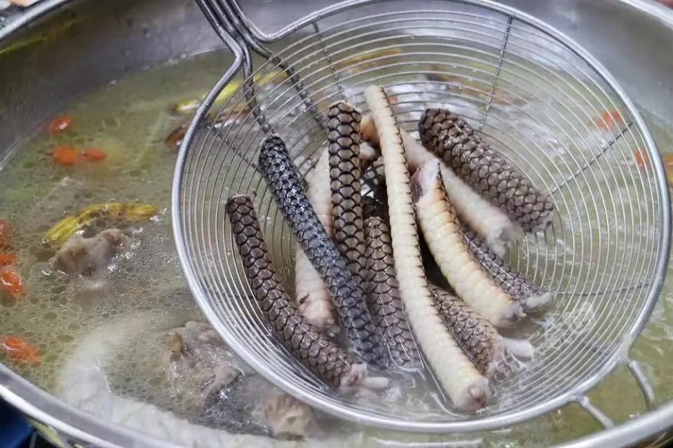 韩愈成了潮州蛇肉火锅的招牌.