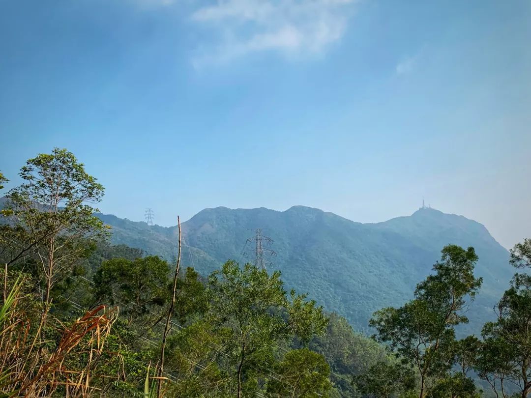 秘游港片拍摄地飞鹅山观景台